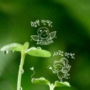 산사랑 이미지