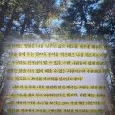 김경일의 마음 트래킹 책 | 김경일 책 후기 | 꼰대의 고립을 막아주는 어린 스승을 모시는 법 추천 리뷰...