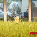 제일농장1 이미지