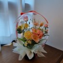 개스타 살롱 이미지