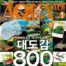 아쿠아라이프 이미지