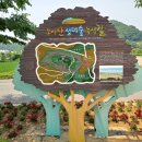 녹색길 티스토리