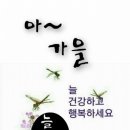 [조주청의 사랑방 이야기] 이미지