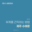 수에룬 이미지