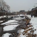 금빛환경