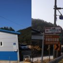 정선아리귀뚜라미농장 이미지