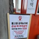동박낭 | 2월 제주도 여행 동박낭 볼고롱동백 제주 동백꽃 명소 현황 동백포레스트 동박낭 동백수목원 비교