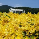 사철슈퍼 이미지