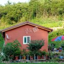 승리민박 이미지