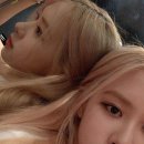 로제 이미지