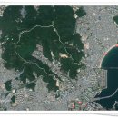 황령산 벚꽃약수터 이미지