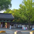옛촌막걸리 - 부천시 오정구 부천로478번길 84 | 전주 가면 꼭 먹어야 할 음식 오짱 옛촌막걸리 솔직 후기
