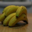 바나나동물병원 이미지