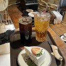 힐링 홍차 티클래스 | 대구 동성로 카페 홍차 케이크 맛집 '티클래스' 솔직후기