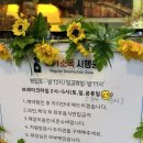 강남-193 | 강남역 콜키지프리 청모 추천 레스토랑 뇨끼 맛집 서초 먼데이블루스 후기