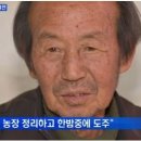 와전축사 마이데일리