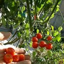 참사랑안마원 이미지