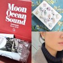 오션포인트 | 가벼운 투명침귀걸이 후기! 문오션사운드, 편안한 데일리 포인트 이어링