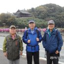 마냥 행복했던 인문학 여행 이미지