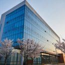 TB건강태권도 이미지