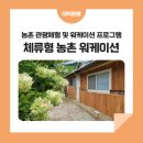 장동로~산디로 이미지