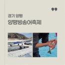 경기 양평 빙송어축제 빙어 송어 패키지 체험 후기