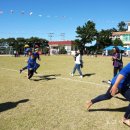 평대초등학교 이미지