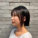 컷;염색