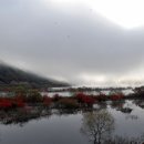 도화동산 이미지