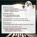스텔라지 이미지