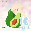 [임신16주차] 임신16주2일 초음파! 2차 기형아검사&amp;성별 확인&amp;젠더리빌파티 준비