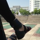 프로젝트송송 이미지