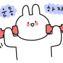 올댓댄스핏 이미지