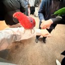 테이블에이 | 홍대 이색 데이트, 실내 동물원 '테이블에이' 방문 후기