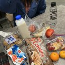 H·S·H Farm | ESN 핀란드 라플란드투어 후기 | Timetravels | 액티비티 추천 | 짐싸기 | Adventure to Northern...