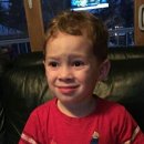 개관15주년 기념 특별전 | [대구미술관] 개관 15주년 기념 특별전 ‘서화무진’