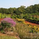 외도보타니아 이미지