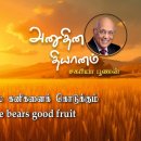 17 May 2026 | CFC Tamil Daily Devotion | A good tree bears good fruit 이미지