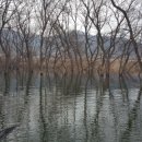 백곡낚시터 이미지