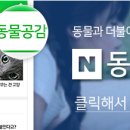 식구개 이미지