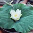 심리극 속 나를 찾는 여행 : 나를 또 다시 외치다 | 성주 청매암에서 나를 만나는 명상