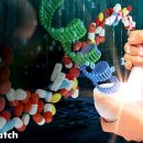 (주)지엘바이오 이미지