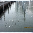부산 장산 및 해운대삼포길트레킹(1박2일) 이미지