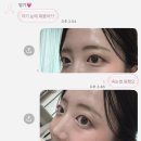 다림정 | 12월 일상 : 안녕 나의 2025년, 올 한해도 폭싹 속았수다!