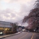 마중가는길 이미지