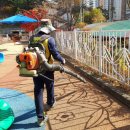 해마루초등학교 병설유치원 이미지