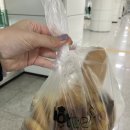 핫브레드논현역점 이미지