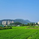 지방도341호 이미지