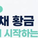 황금비앤채