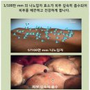 브이에스신비 이미지